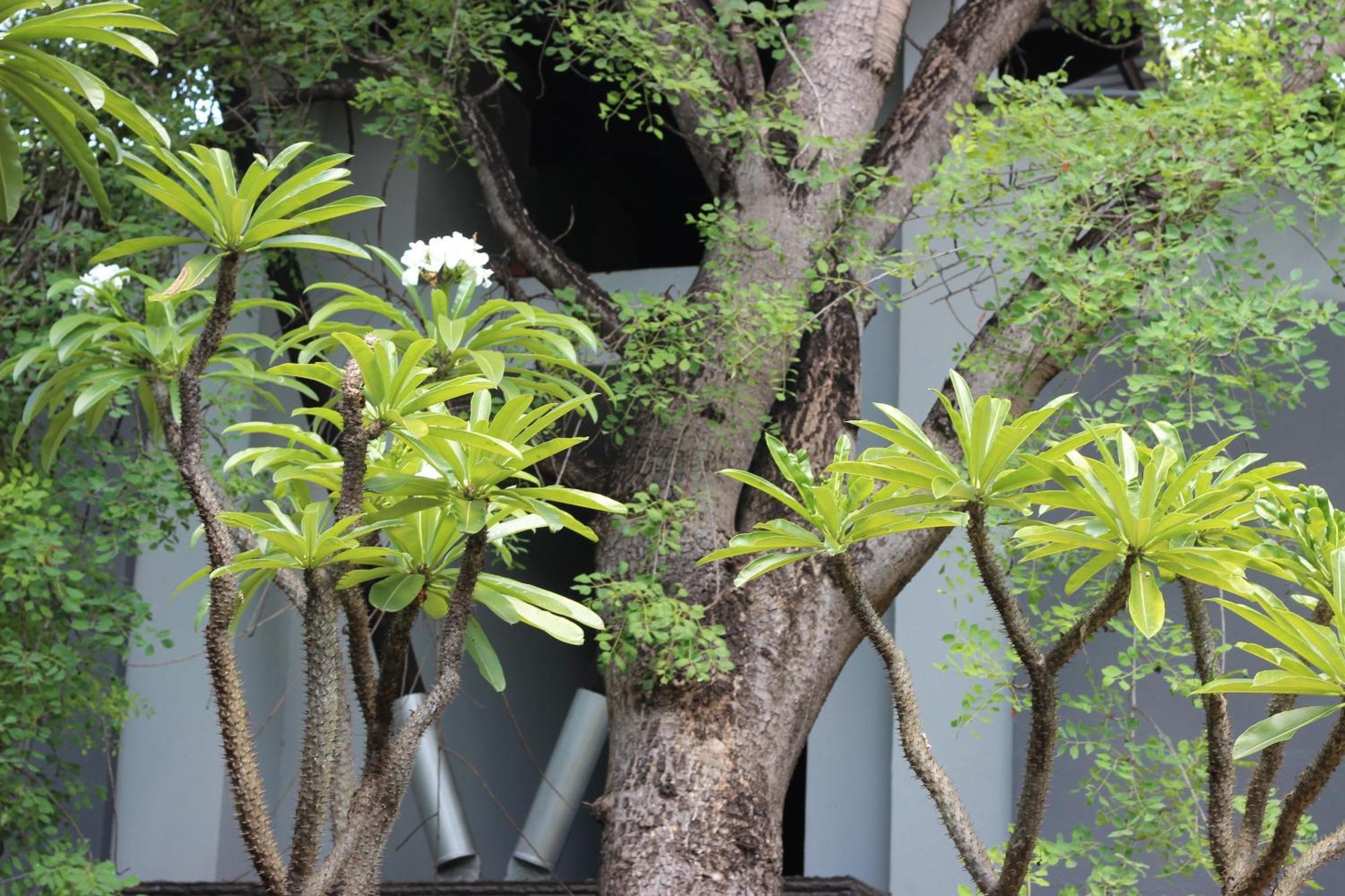 Ecolux Boutique Hotel Komatipoort Exterior photo